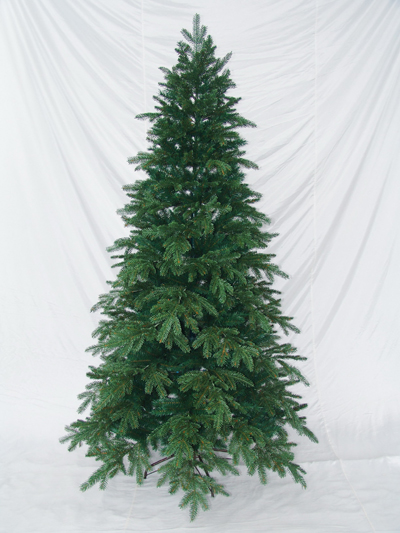 CAROLINA_HEMLOCK__P.E.TREE_s.jpg