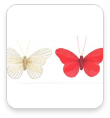 Sada 3 ks dekoračných motýľov na štipci - rôzne farby