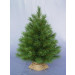 OREGON PINE 90 cm