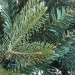 Vianočný stromček VERMONT z mäkkého 3D ihličia - detail ihličia