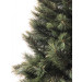 Vianočný stromček OREGON CEDAR - detail ihličia